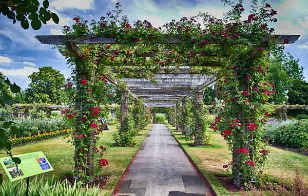  - Kew Gardens 2015