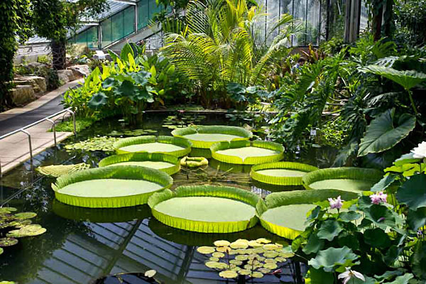  - Kew Gardens 2015