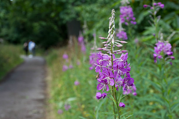  - Kew Gardens 2015