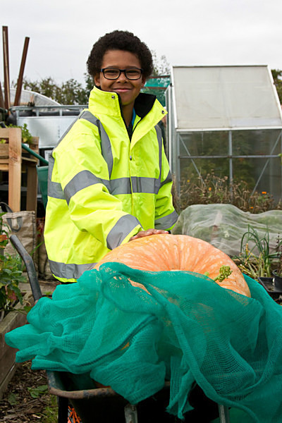RLP-0594 - Pumpkin Competition 2015
