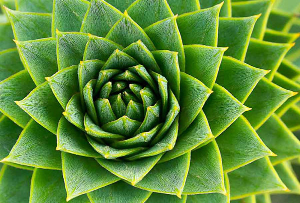  - Kew Gardens 2015