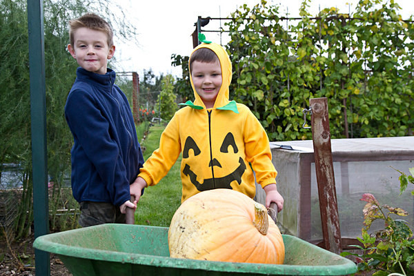 RLP-0557 - Pumpkin Competition 2015