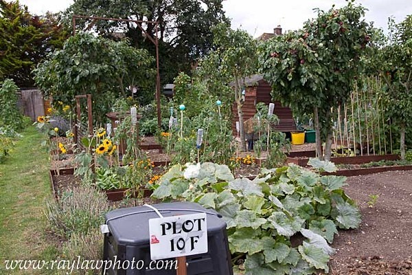 9161 - Allotment Pot Pourri