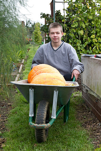 RLP-0589 - Pumpkin Competition 2015