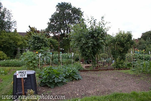 MPAA-0984 - Allotment Pot Pourri