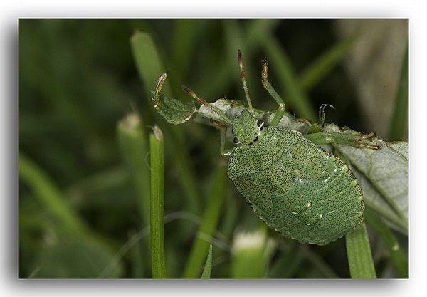 2749 bug 3 - Identity Parade