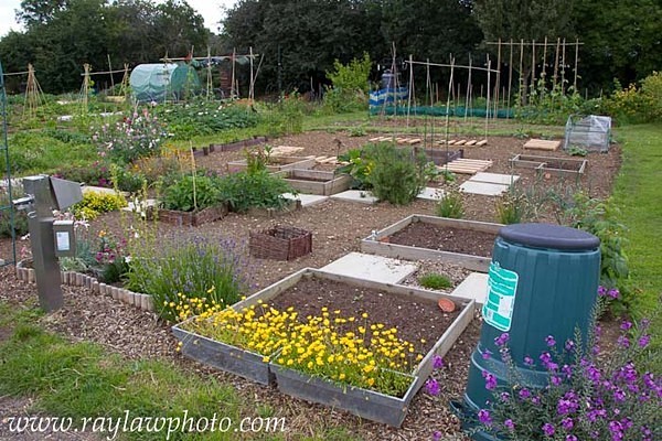 MPAA-0983 - Allotment Pot Pourri