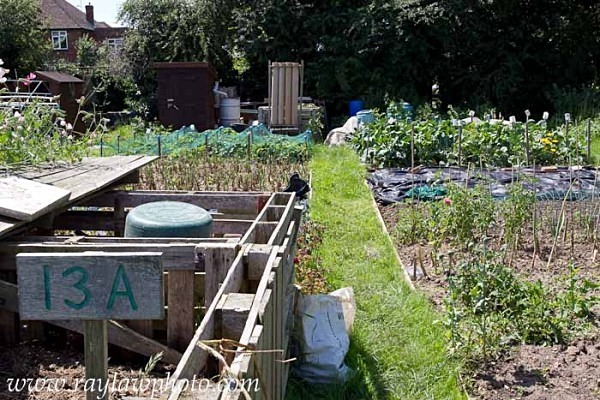 MPAA-8389 - Allotment Competition 2012