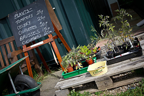  - Allotment Pot Pourri 2015