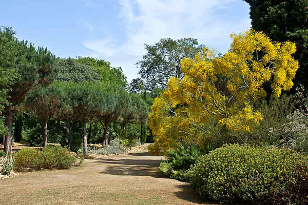  - Kew Gardens 2015