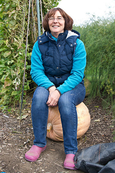 RLP-0595 - Pumpkin Competition 2015