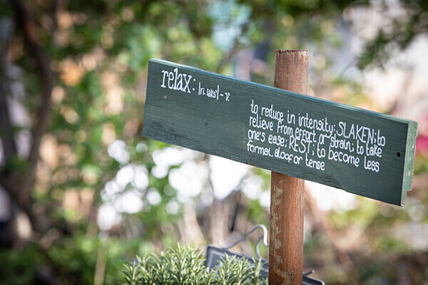 080718-8766 - Allotment Safari 2019