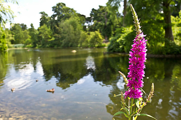  - Kew Gardens 2015