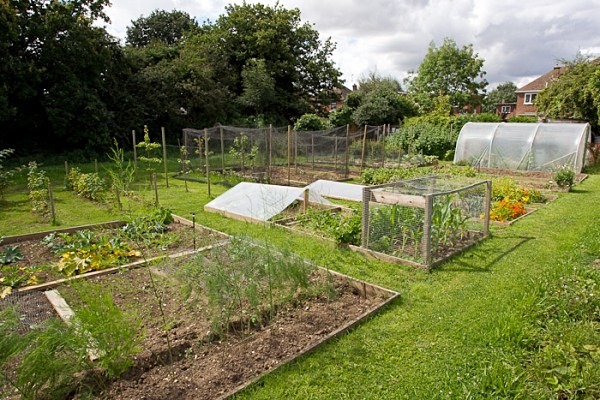 MPAA-0609 - Allotment Competition 2012