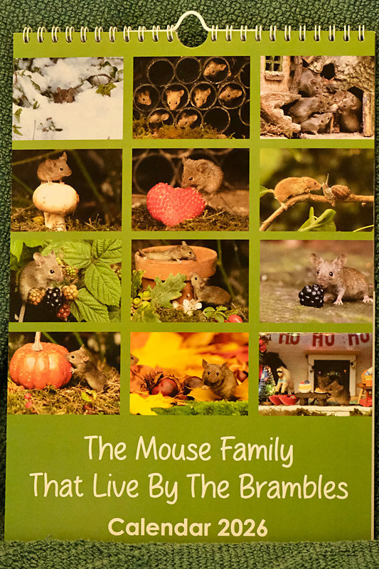  - 2026 Mouse Family Calendar