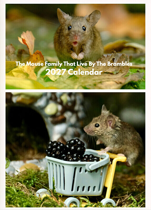  - 2027 Mouse Family Calendar