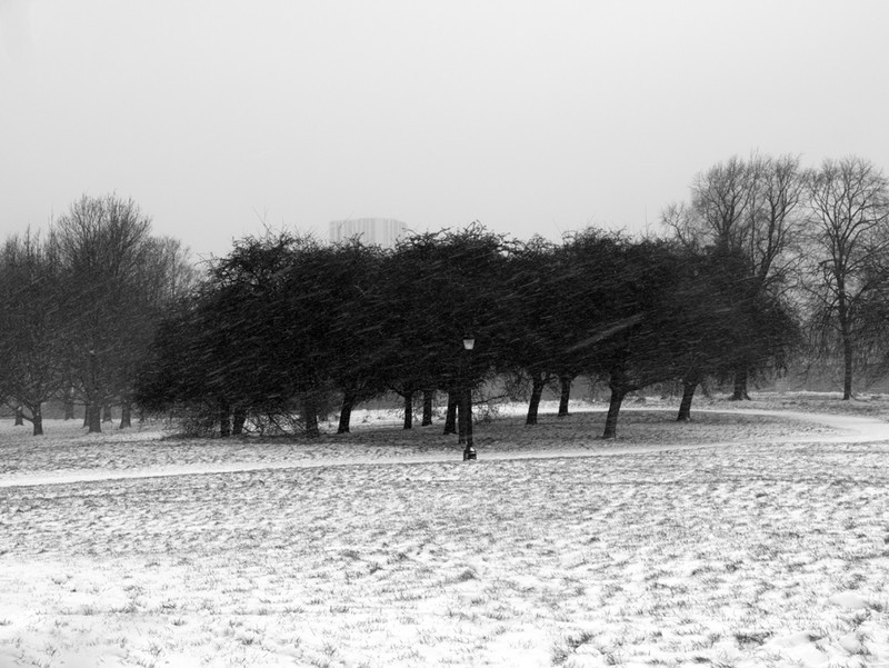 Primrose Hill snow series - London street photography photos 8