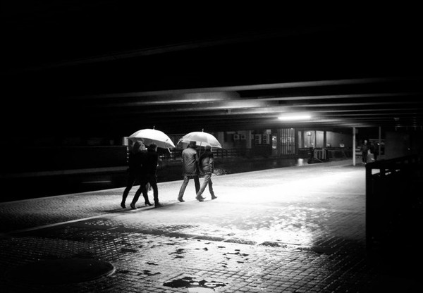  - Rain n' Brollies