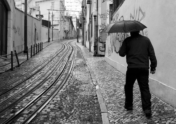  - Rain n' Brollies