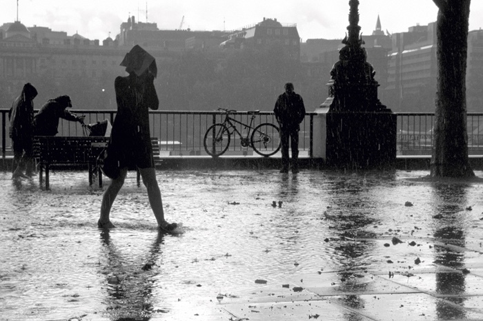  - Rain n' Brollies
