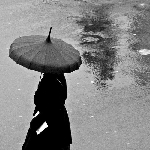 Pagoda Elegance - Rain n' Brollies
