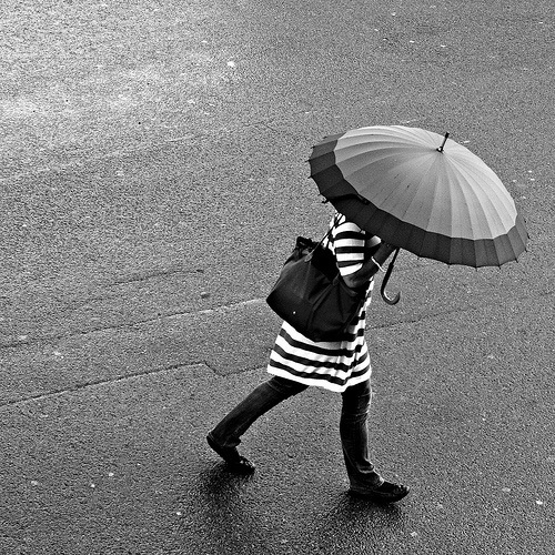 Stripes In The Rain - Rain n' Brollies
