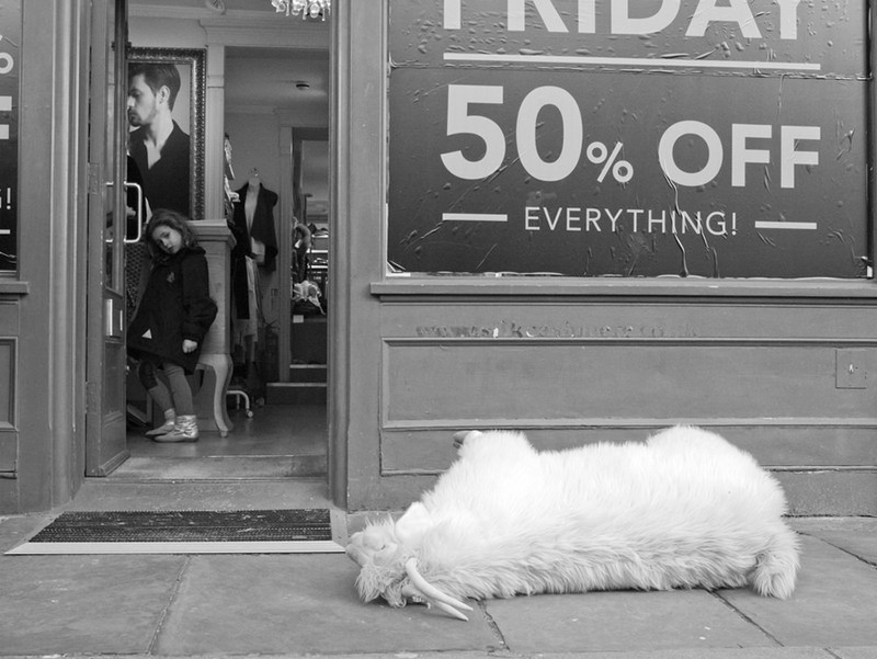 London Street Photography Portobello Road