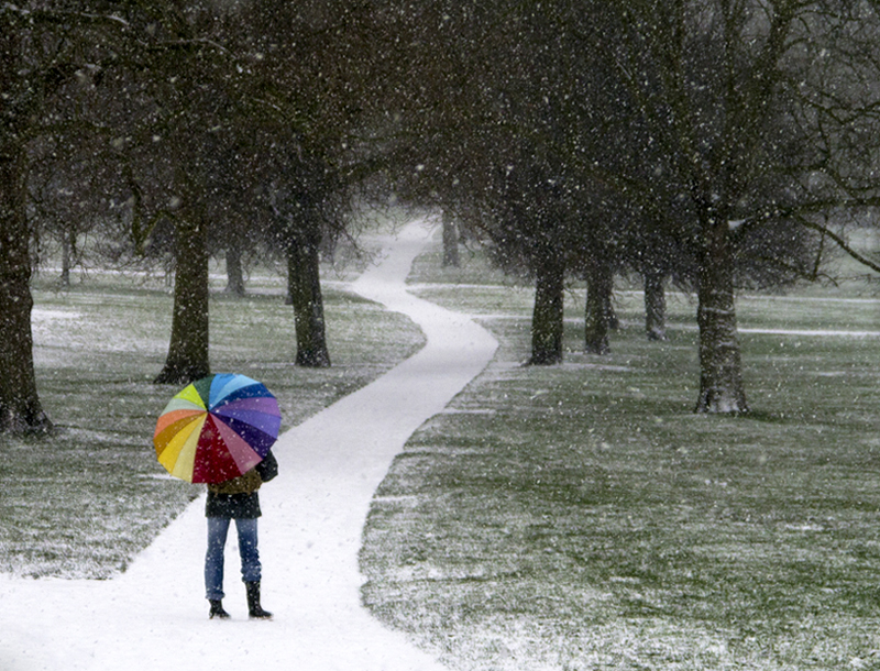 Primrose Hill Snow 10 - Winter Snow
