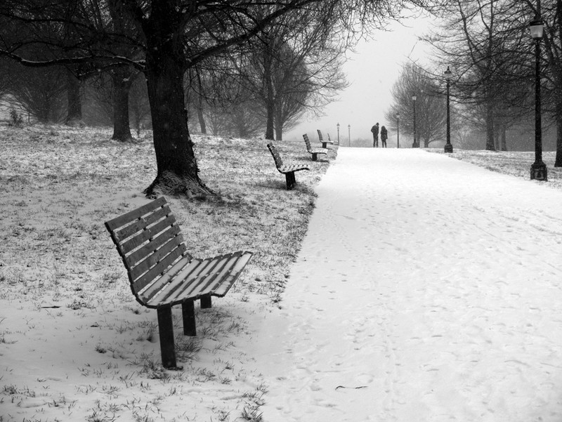 Primrose Hill snow series - London street photography photos 3