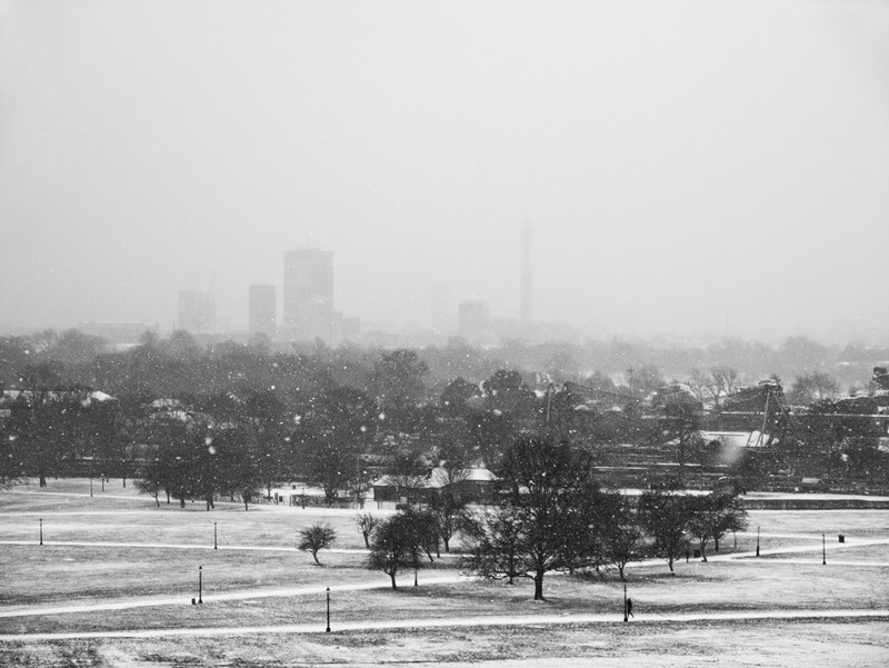Primrose Hill snow series - London street photography photos 5