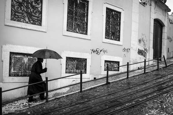  - Rain n' Brollies