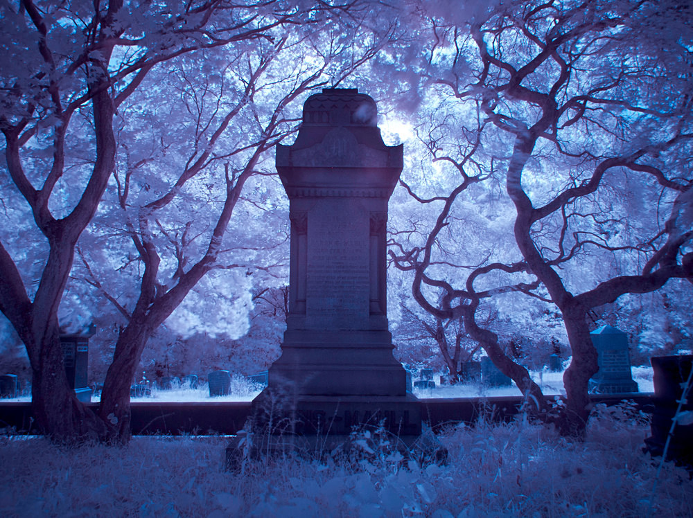 Philadelphia's Abandoned Mount Moriah Cemetery Into the Wilderness