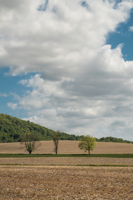  - COLOR LANDSCAPES