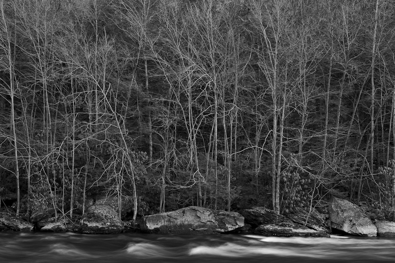 BIRCHES AND ROCKS - BLACK AND WHITE LANDSCAPES