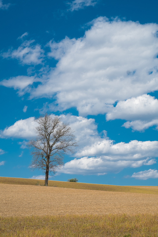 - COLOR LANDSCAPES