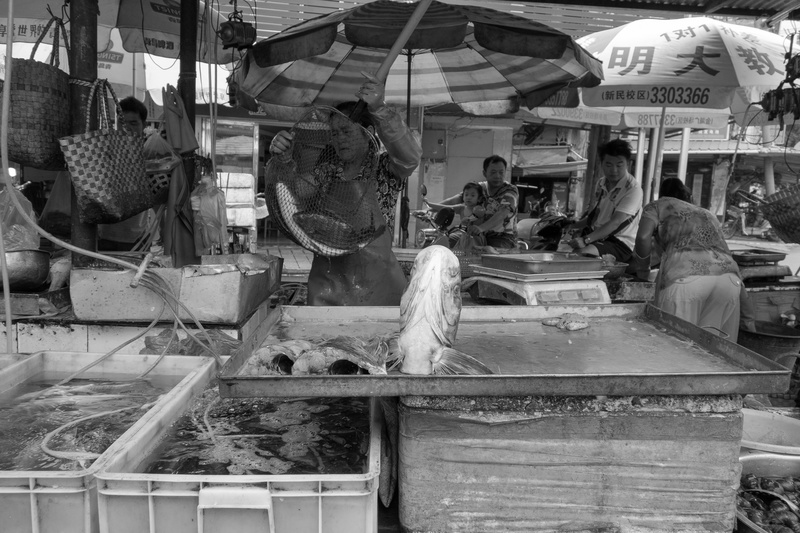 ON DECK - CHINA