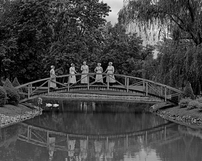 SUNDAY IN THE PARK - THE SIMPLE LIFE
