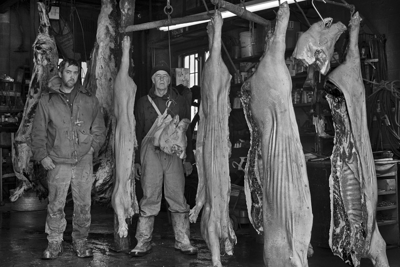 THE BUTCHERING - AT WORK