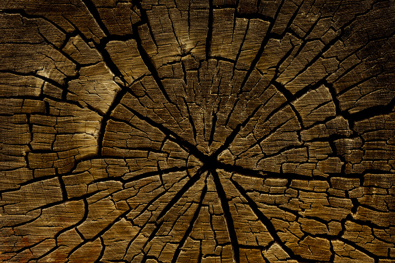 ZION STUMP - COLOR ABSTRACTS