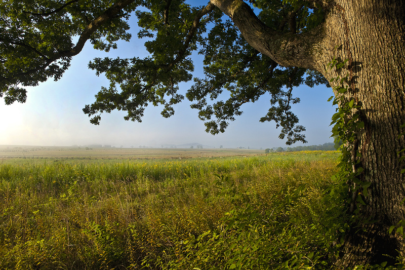 EARLY MORNING ON THE BATTLEFIELD - COLOR LANDSCAPES