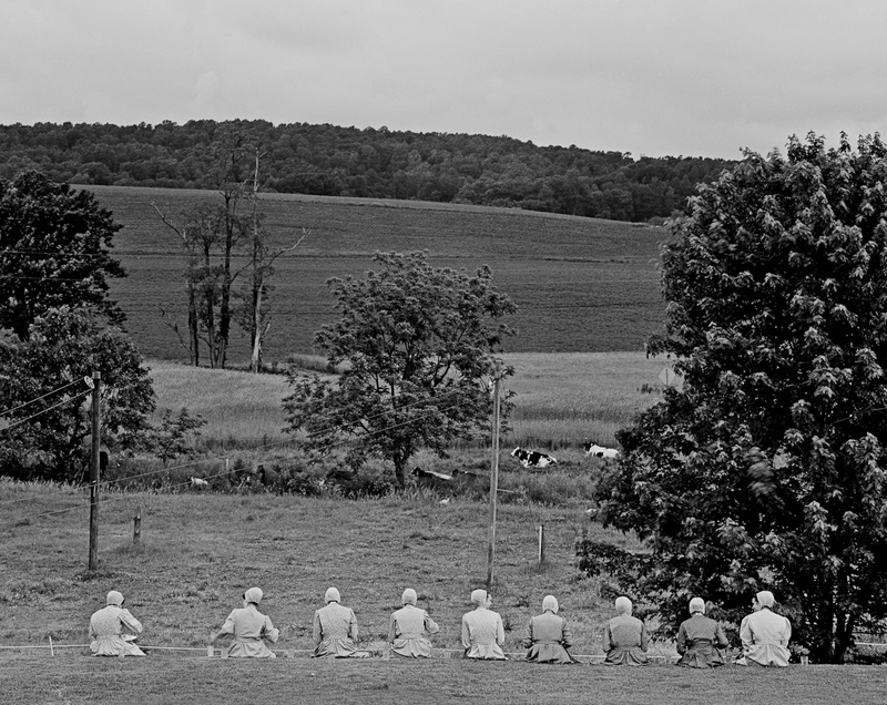LUNCHTIME - THE SIMPLE LIFE