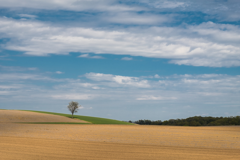  - COLOR LANDSCAPES