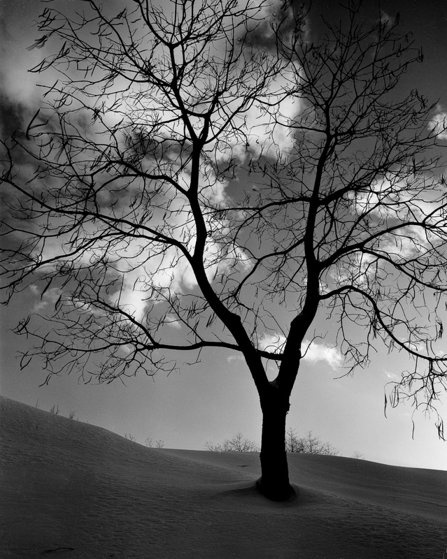 HANGING ON - BLACK AND WHITE LANDSCAPES