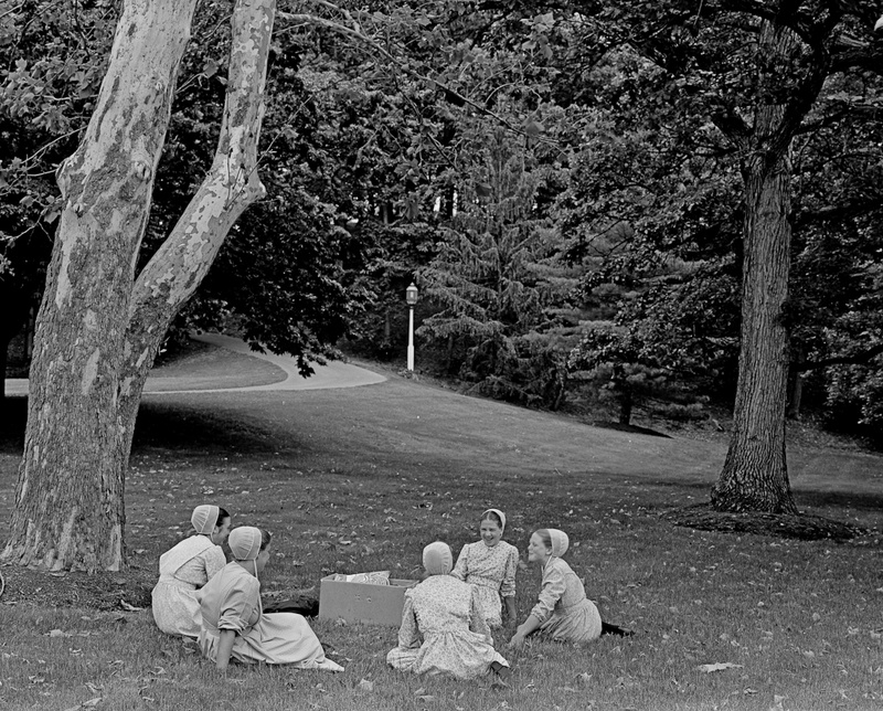 THE PICNIC - THE SIMPLE LIFE