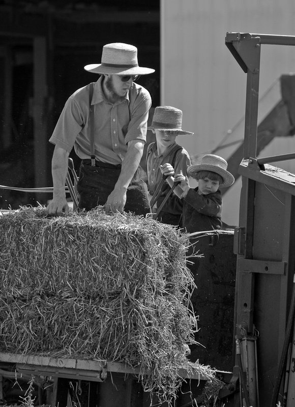TEAMWORK - THE SIMPLE LIFE