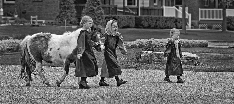 SISTERHOOD - THE SIMPLE LIFE