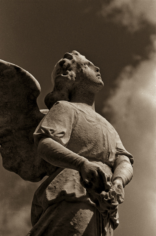 LOOKING TO HEAVEN - EXQUISITE SCULPTURES