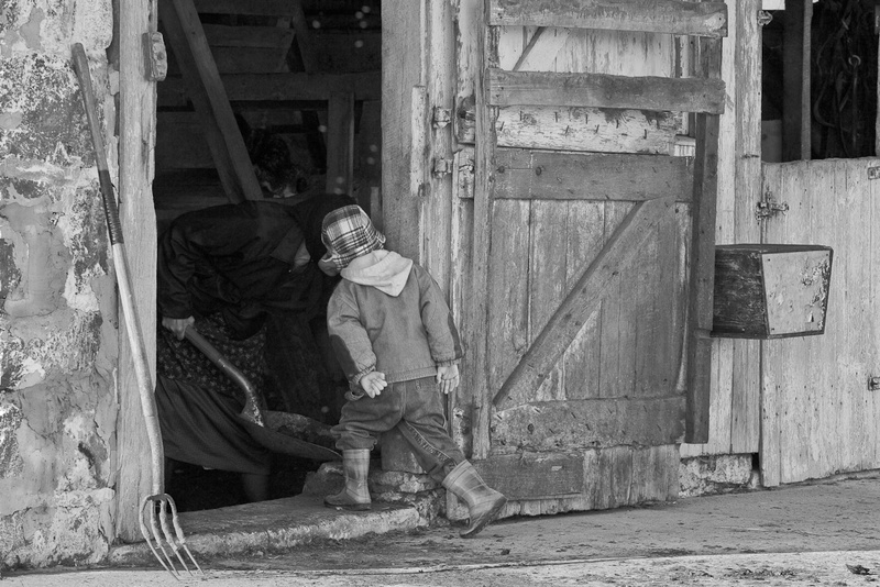 PEEKING IN - THE SIMPLE LIFE