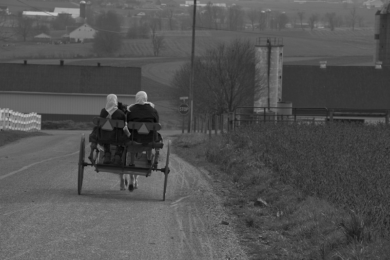 ON THE WAY - THE SIMPLE LIFE