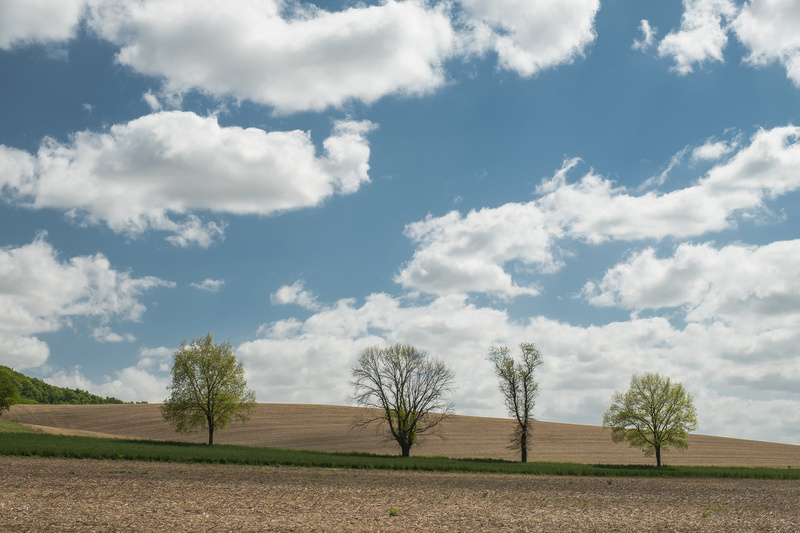  - COLOR LANDSCAPES